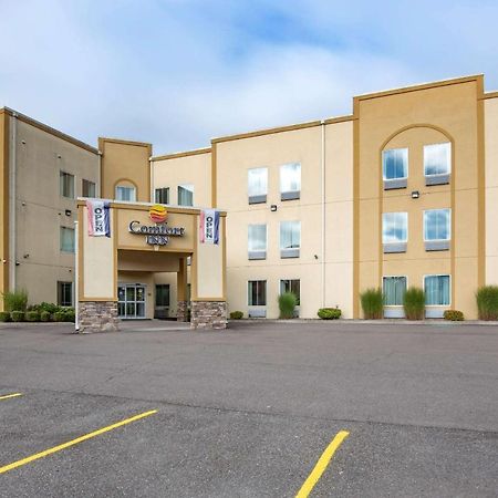 Comfort Inn Apalachin - Binghamton W Route 17 Esterno foto