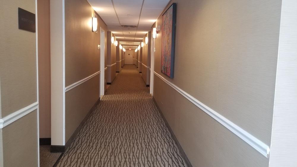 Comfort Inn Apalachin - Binghamton W Route 17 Esterno foto