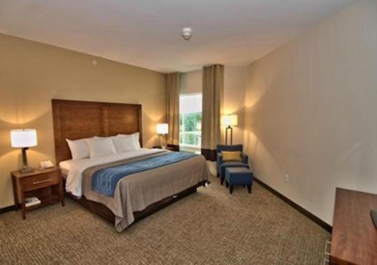 Comfort Inn Apalachin - Binghamton W Route 17 Esterno foto