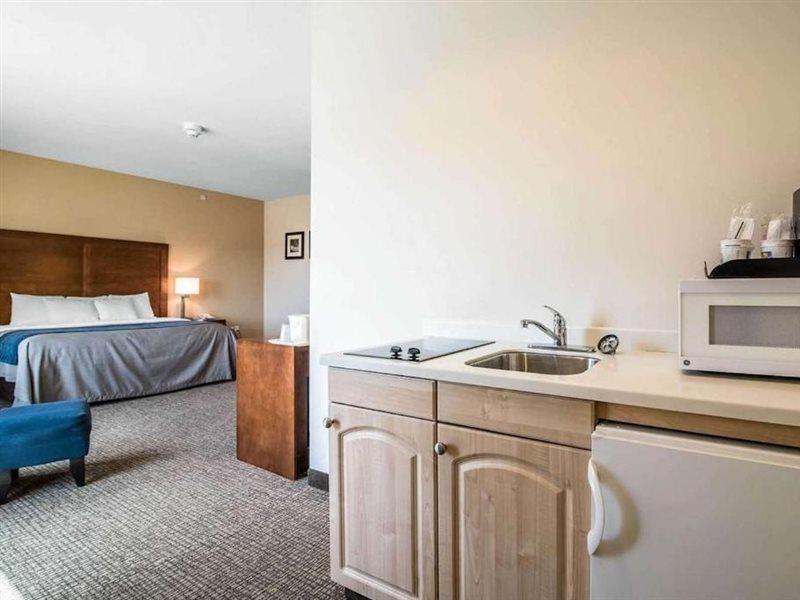 Comfort Inn Apalachin - Binghamton W Route 17 Esterno foto
