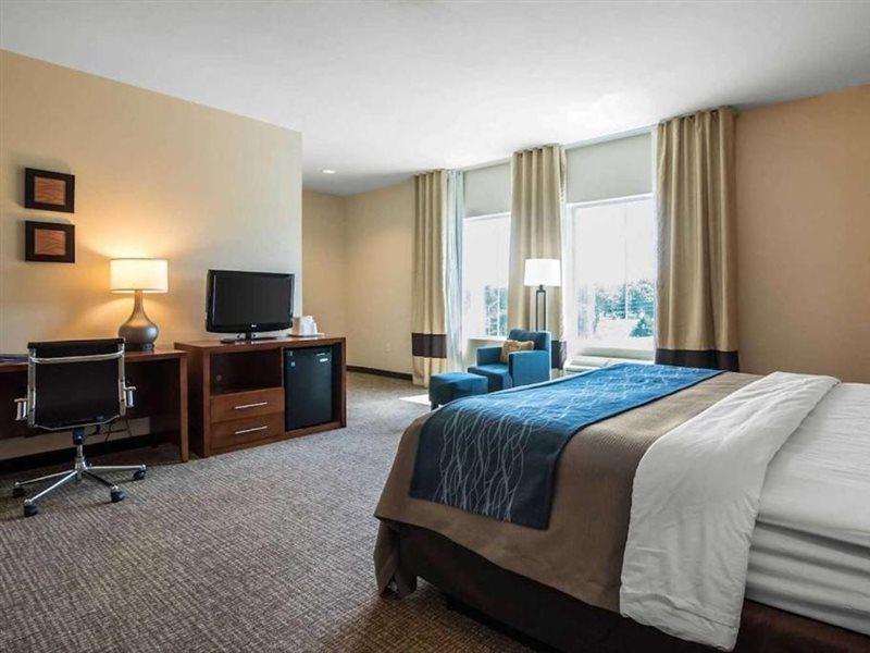 Comfort Inn Apalachin - Binghamton W Route 17 Esterno foto