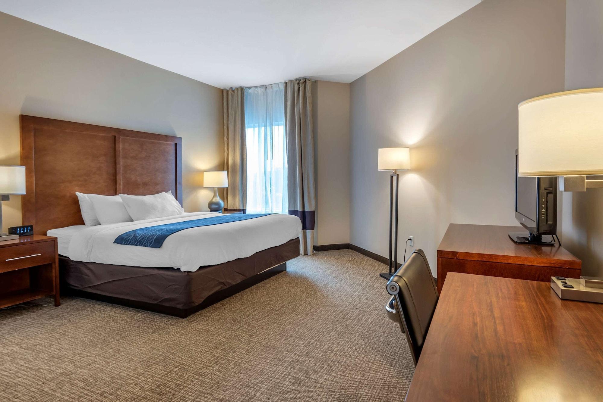 Comfort Inn Apalachin - Binghamton W Route 17 Esterno foto