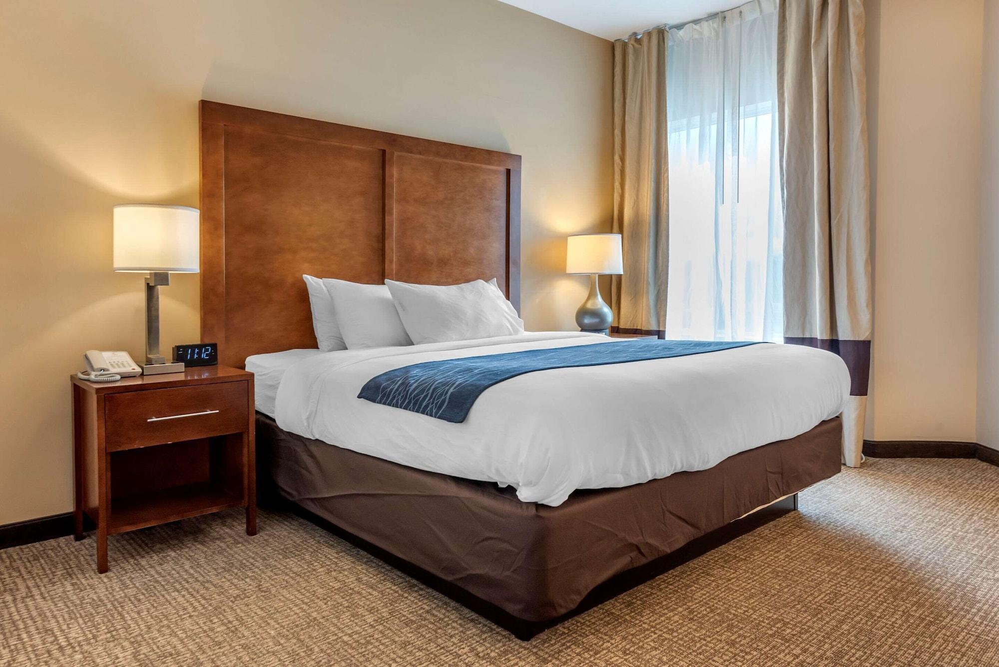 Comfort Inn Apalachin - Binghamton W Route 17 Esterno foto