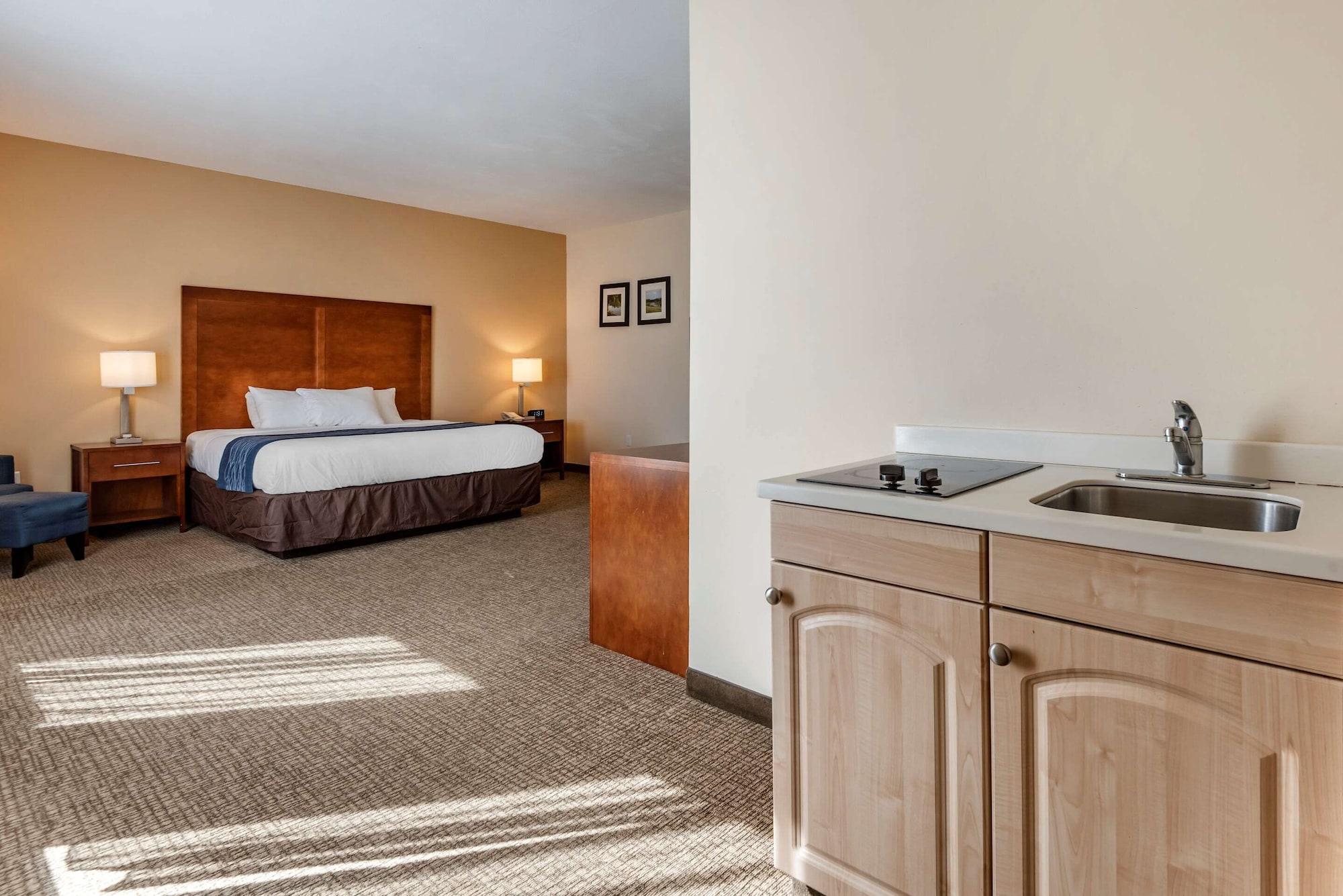 Comfort Inn Apalachin - Binghamton W Route 17 Esterno foto