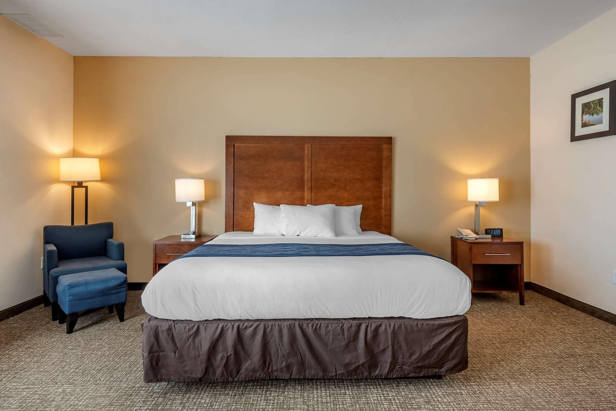 Comfort Inn Apalachin - Binghamton W Route 17 Esterno foto