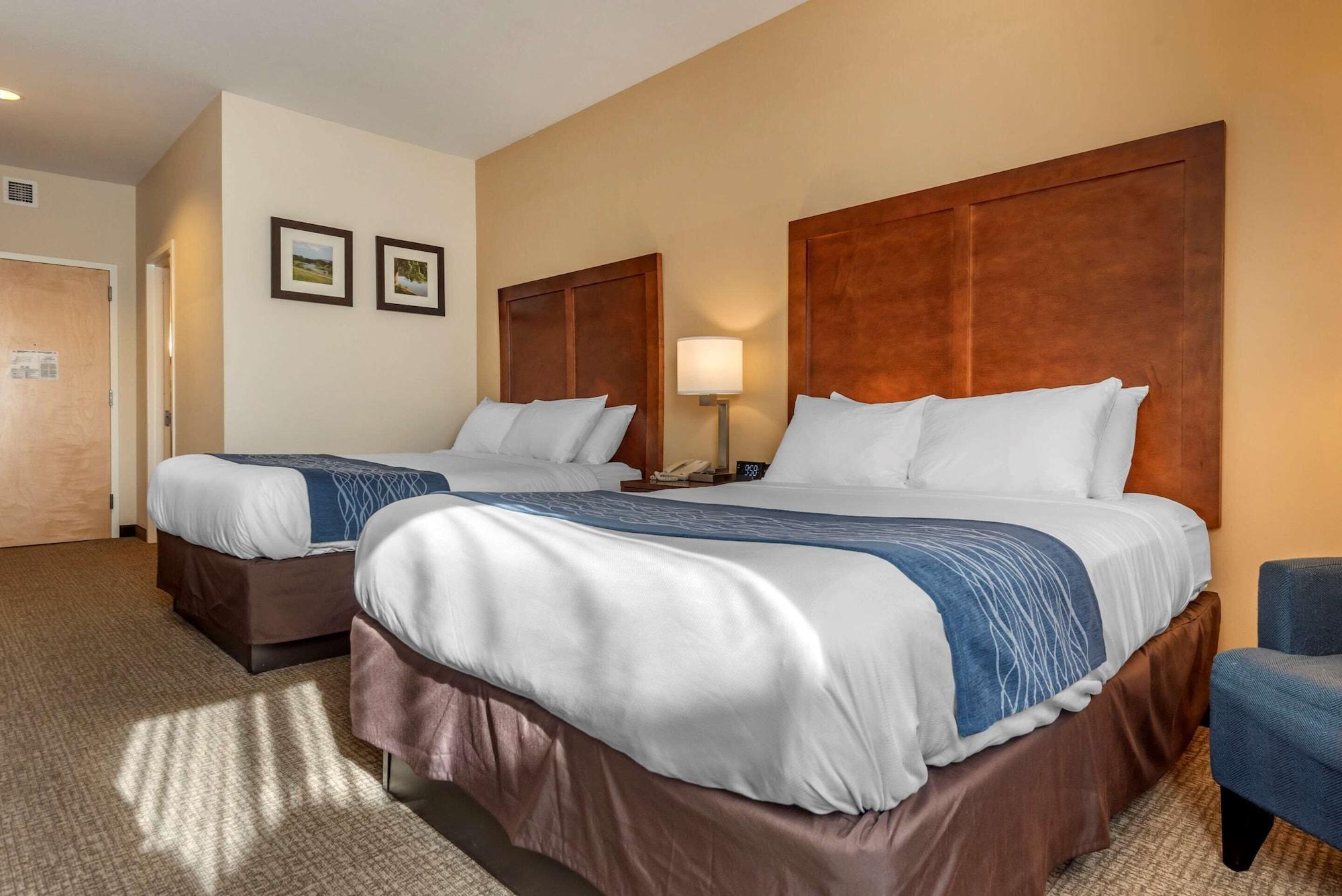 Comfort Inn Apalachin - Binghamton W Route 17 Esterno foto