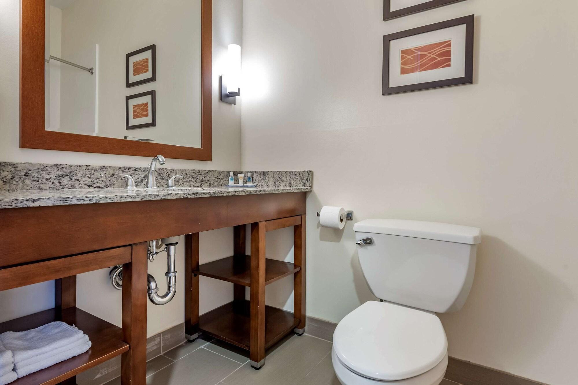 Comfort Inn Apalachin - Binghamton W Route 17 Esterno foto