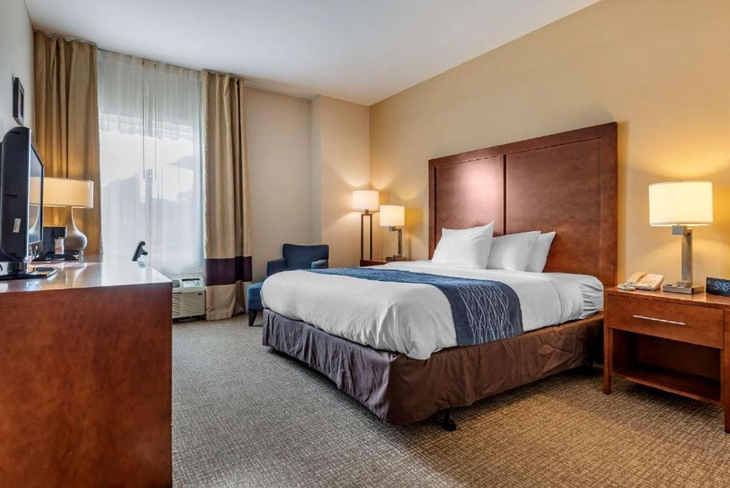 Comfort Inn Apalachin - Binghamton W Route 17 Esterno foto