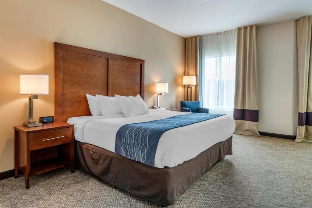 Comfort Inn Apalachin - Binghamton W Route 17 Esterno foto