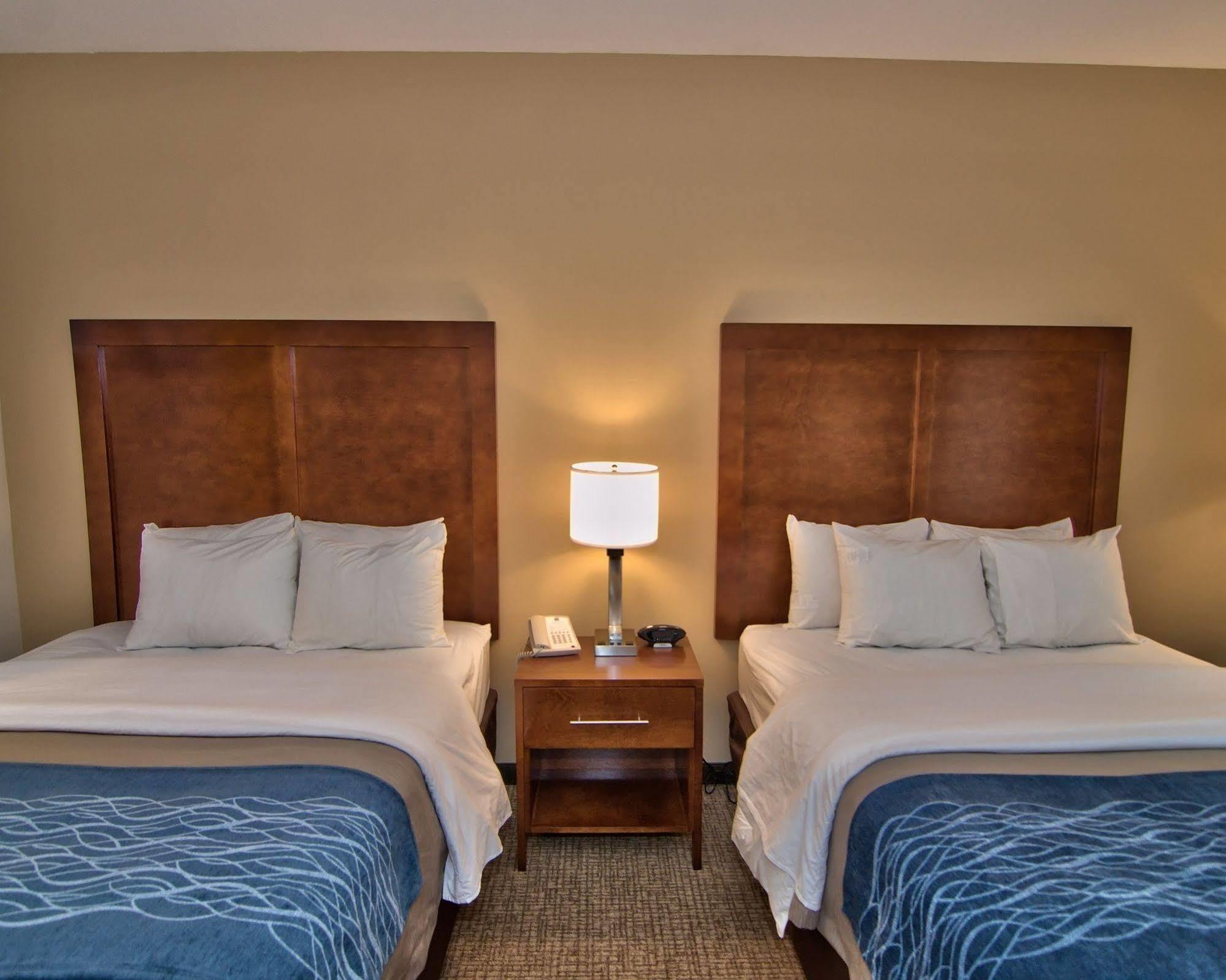 Comfort Inn Apalachin - Binghamton W Route 17 Esterno foto